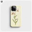 3-1_Maria-Sibylla-Merian_phone
