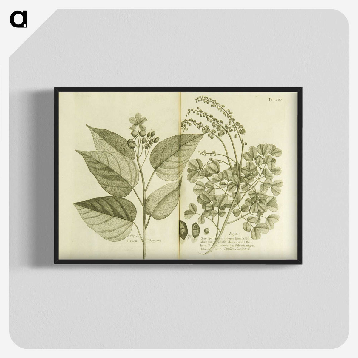 3-1_National-Library-of-Medicine_blk-crop