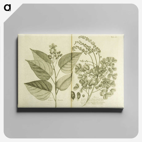 3-1_National-Library-of-Medicine_canvas