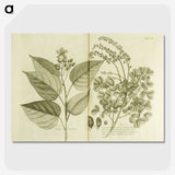 3-1_National-Library-of-Medicine_picture-crop