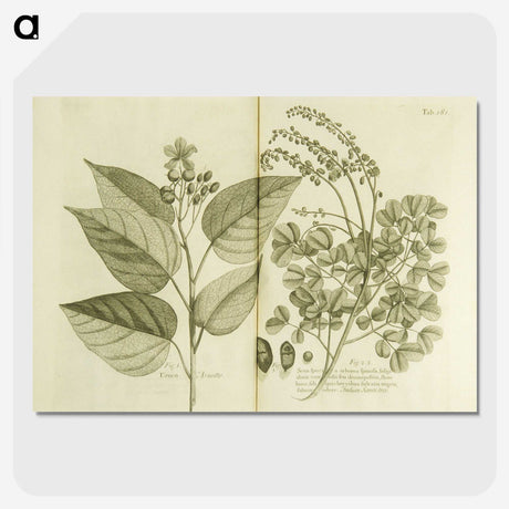 3-1_National-Library-of-Medicine_picture-crop