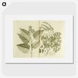 3-1_National-Library-of-Medicine_picture