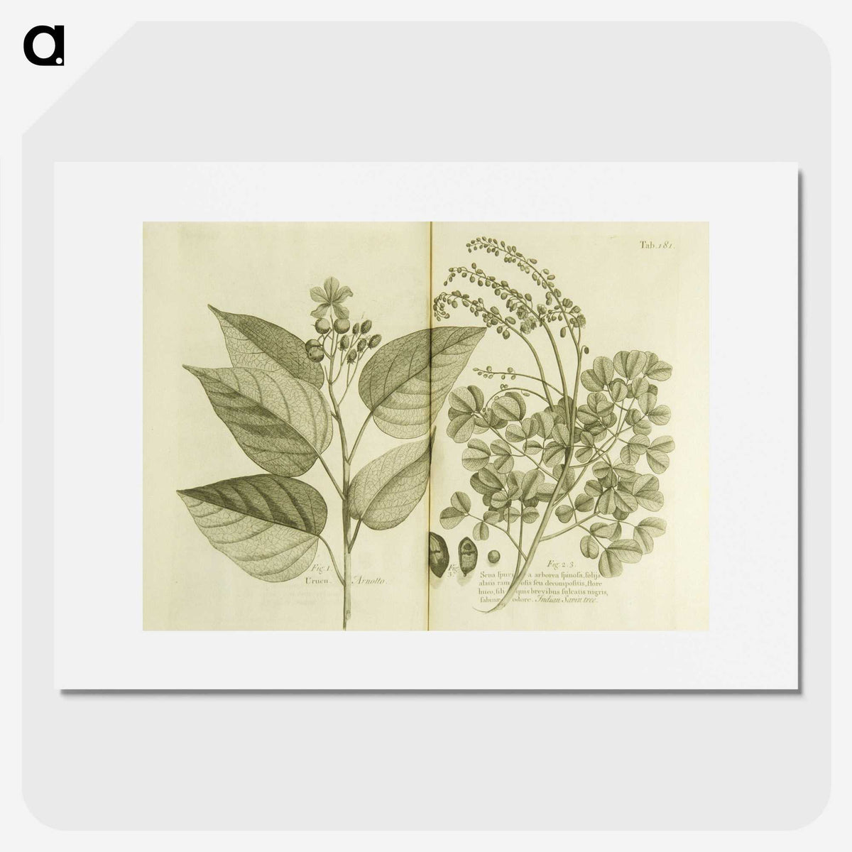 3-1_National-Library-of-Medicine_picture