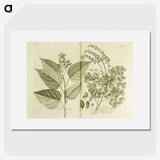 3-1_National-Library-of-Medicine_picture