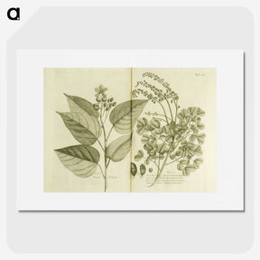 3-1_National-Library-of-Medicine_picture