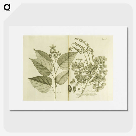 3-1_National-Library-of-Medicine_picture