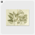 3-1_National-Library-of-Medicine_postcard