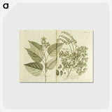 3-1_National-Library-of-Medicine_postcard