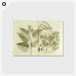 3-1_National-Library-of-Medicine_postcard