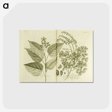 3-1_National-Library-of-Medicine_postcard