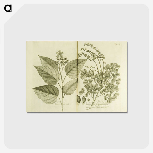 3-1_National-Library-of-Medicine_postcard