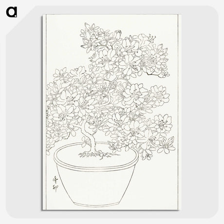 3-1_Ohara-Koson_picture-crop