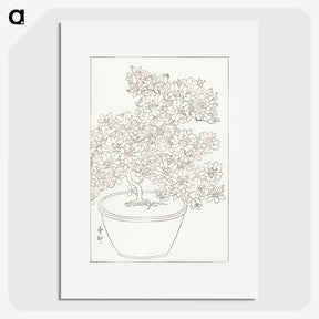 3-1_Ohara-Koson_picture