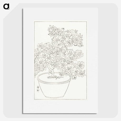 3-1_Ohara-Koson_picture