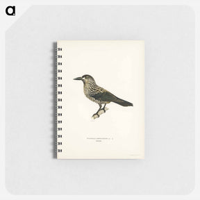 アートメモ帳-Spotted Nutcracker
 - スヴェンスカ フォグラル Memo.