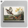 アートパネル-Pinnated Grouse from Birds of America
 - アメリカの鳥たち Canvas.