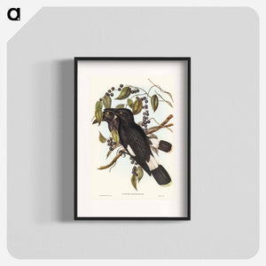 オーストラリア