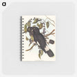 アートメモ帳-Great Crow-Shrike
 - オーストラリアの鳥 Memo.