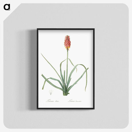 3-1_The-Lilies_blk-crop