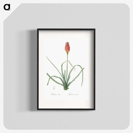 3-1_The-Lilies_blk