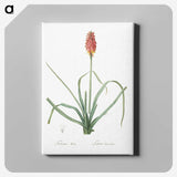 3-1_The-Lilies_canvas