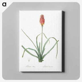 3-1_The-Lilies_canvas