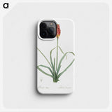 3-1_The-Lilies_phone