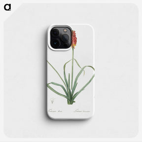 3-1_The-Lilies_phone
