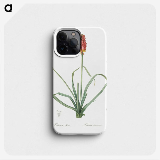 3-1_The-Lilies_phone