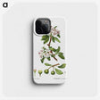 3-1_Treatise-on-Trees-and-Shrubs_phone