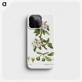3-1_Treatise-on-Trees-and-Shrubs_phone