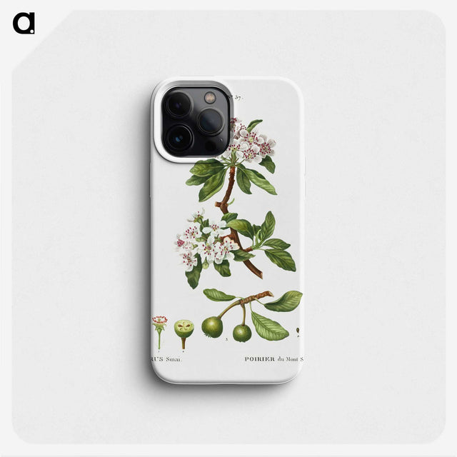 3-1_Treatise-on-Trees-and-Shrubs_phone