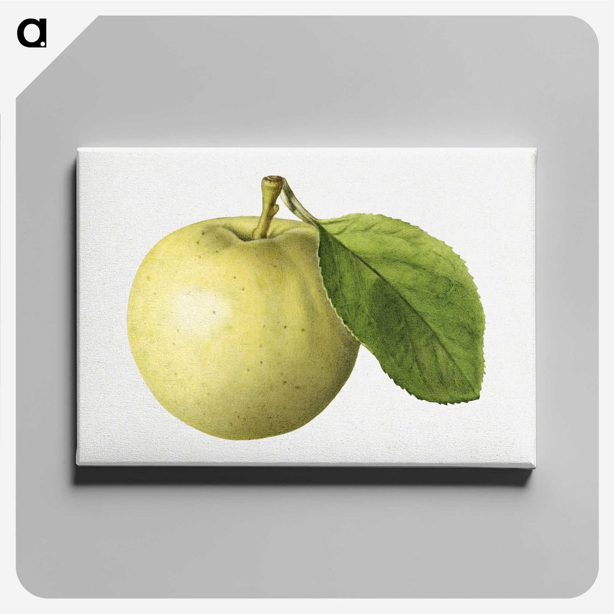 3-1_USDA-Watercolor-Fruit-Painting-Collection_canvas