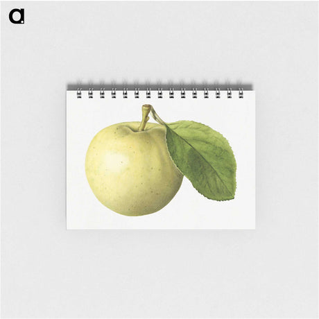 3-1_USDA-Watercolor-Fruit-Painting-Collection_memo