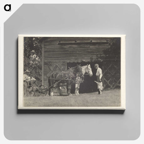 3-20_Alfred-Stieglitz_canvas