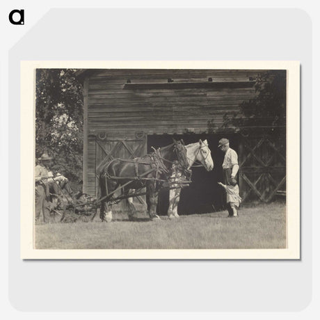 3-20_Alfred-Stieglitz_picture-crop