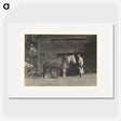 3-20_Alfred-Stieglitz_picture