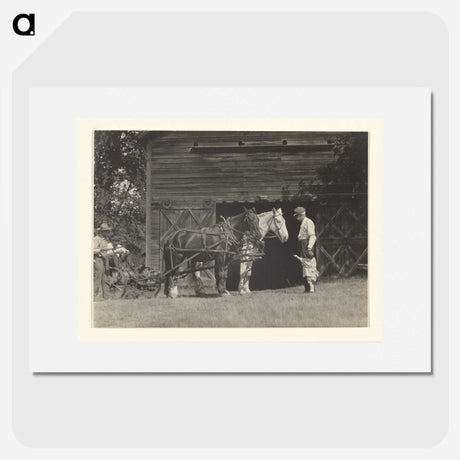 3-20_Alfred-Stieglitz_picture