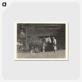 3-20_Alfred-Stieglitz_postcard