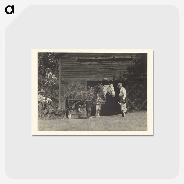 3-20_Alfred-Stieglitz_postcard