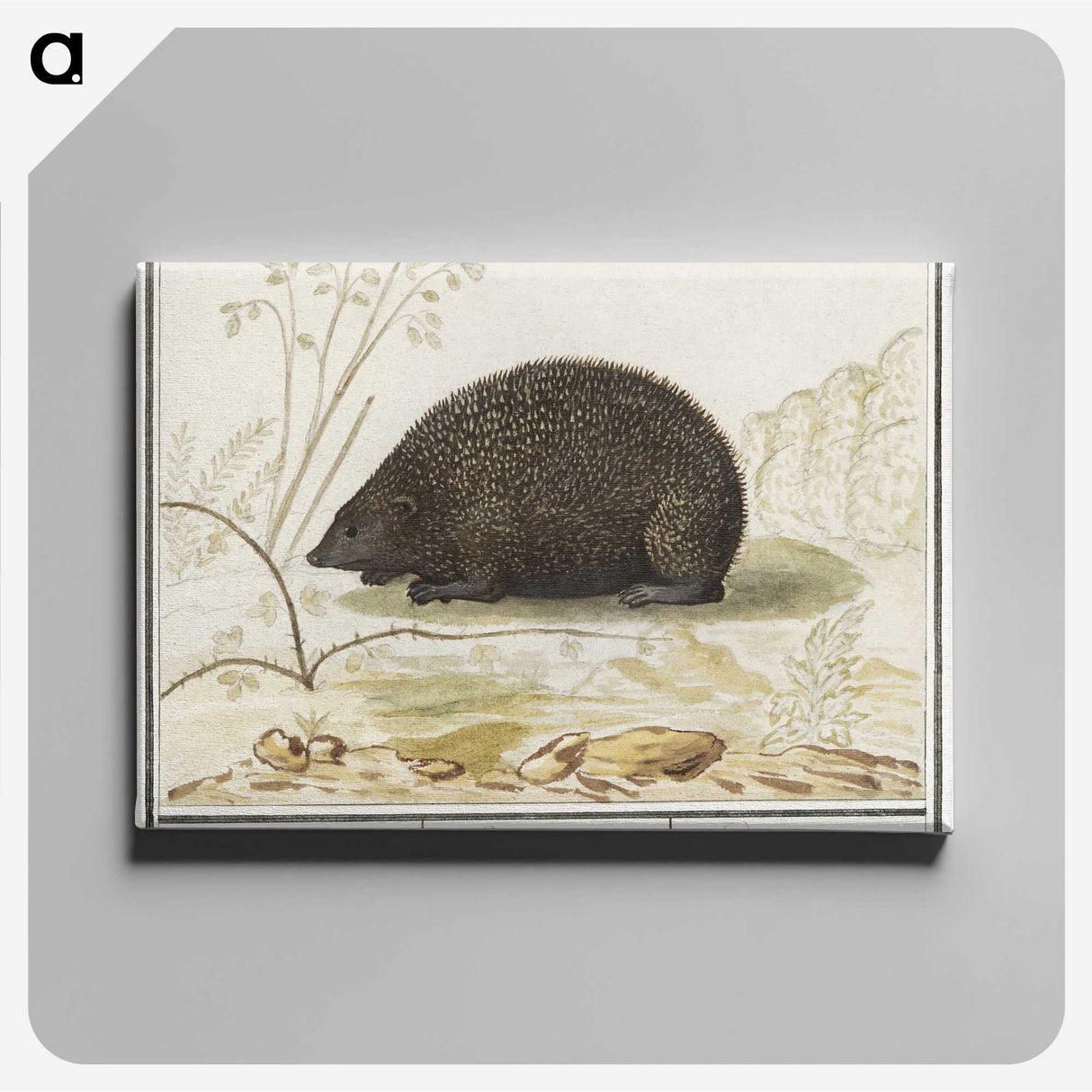 3-20_Anselmus-Boetius-de-Boodt_canvas