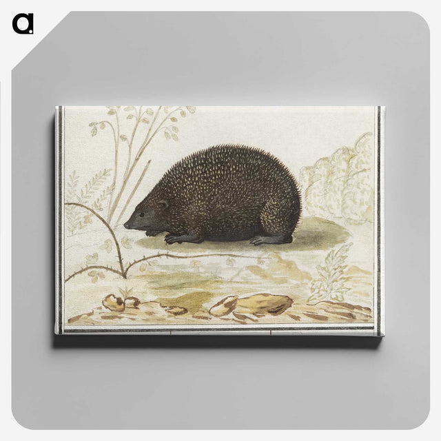 3-20_Anselmus-Boetius-de-Boodt_canvas