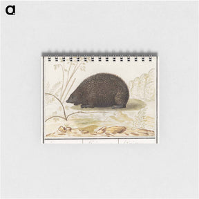 アートメモ帳-Hedgehog - アンセルムス ボエティウス デ ブート Memo.