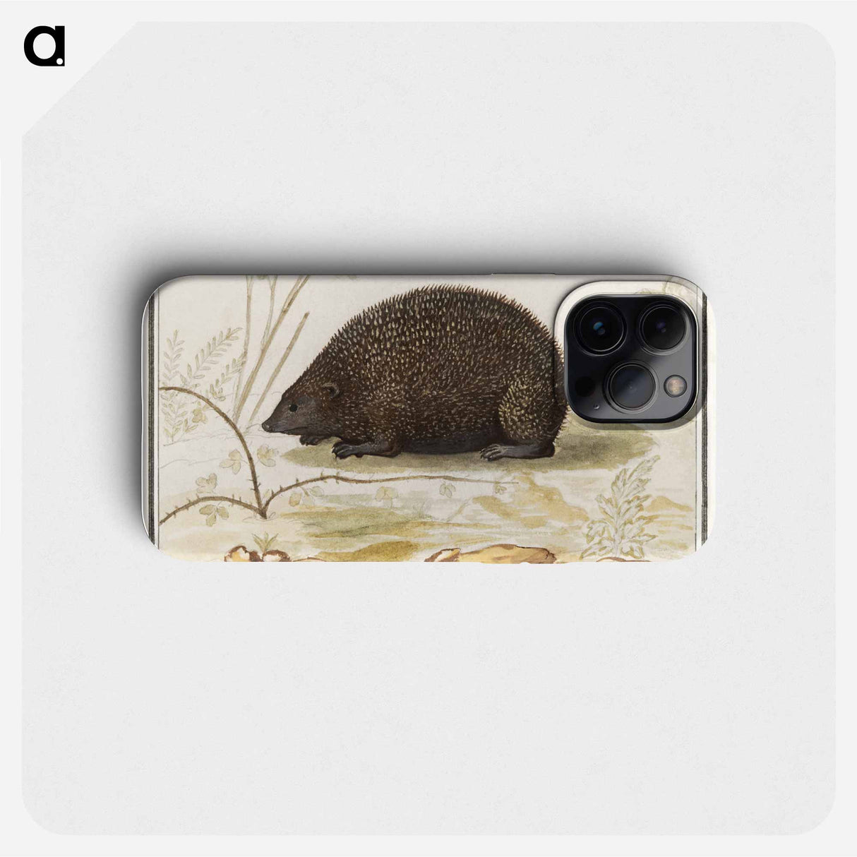 Hedgehog - アンセルムス ボエティウス デ ブート Phone Case.