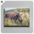 3-20_COVID-19_canvas