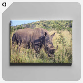 3-20_COVID-19_canvas