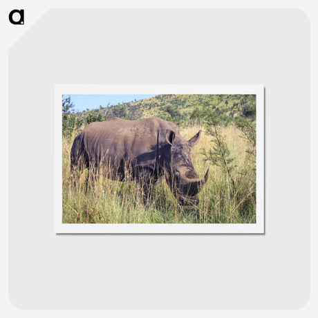 3-20_COVID-19_hagaki