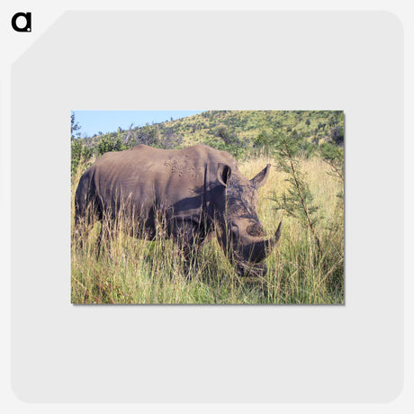 3-20_COVID-19_postcard
