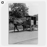 3-20_Dorothea-Lange_picture-crop
