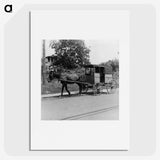 3-20_Dorothea-Lange_picture
